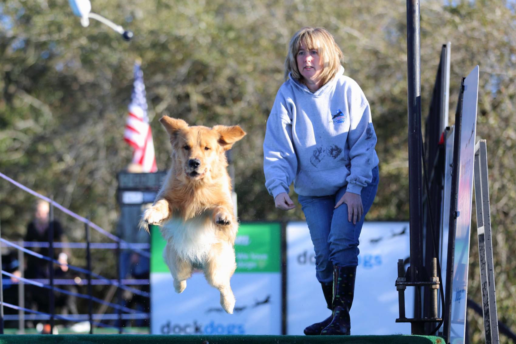 DockDogs1
